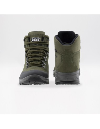 BESTARD TERRIER SCAMOSCIATO VERDONE