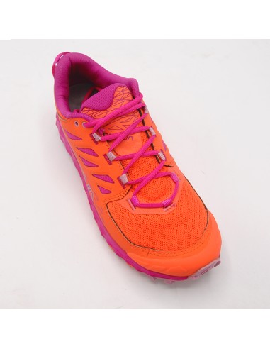 LYCAN II W 46I322411 CHERRY TOMATO