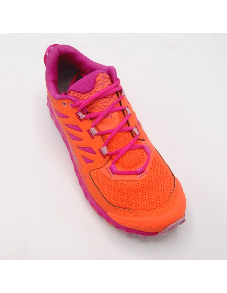 LYCAN II W 46I322411 CHERRY TOMATO