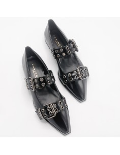 Pasinetti ballerina nera...